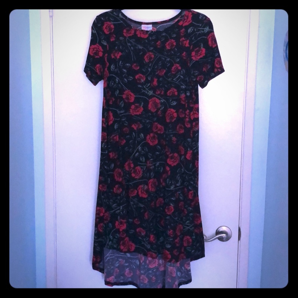 XS LuLaRoe Carly Roses Dress